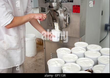 Versando il gelato in un contenitore in Baltimore, Maryland, Stati Uniti d'America Foto Stock