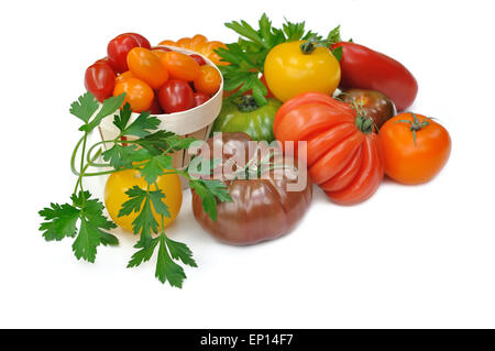 Pomodori con diverse forme e colori su sfondo bianco Foto Stock