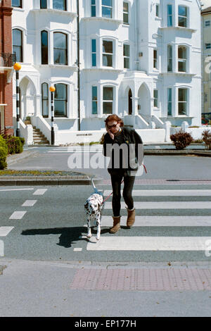 Donna che parla del suo smart phone a piedi il suo dalmata attraverso una zebra crossing Foto Stock