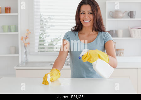 Bellissima femmina facendo le faccende di casa mentre utilizzando uno spray Foto Stock