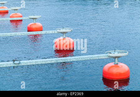 Red boe di ormeggio in una fila galleggiante sull'acqua blu, small European yacht club, marina port frammento Foto Stock