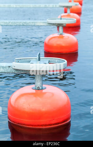 Red boe di ormeggio in una fila galleggiante sull'acqua blu, small European yacht club, marina port frammento, foto verticale Foto Stock