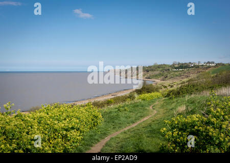 Il sentiero che conduce alla spiaggia di Cattedrale sul mare, Isle of Sheppey, Kent, Regno Unito Foto Stock