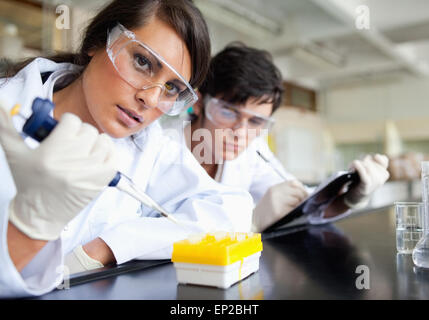 Concentrato di giovani scienziati a lavorare Foto Stock