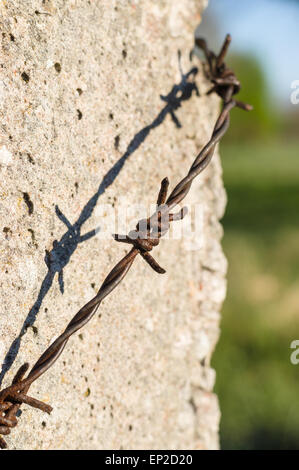 Palo di cemento con rusty filo spinato Foto Stock