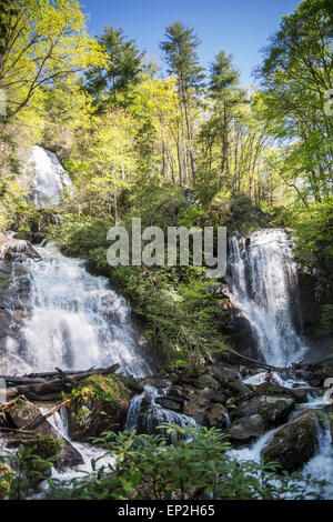Anna Ruby Falls, Chattahoochee-Oconee National Forest, GEORGIA, STATI UNITI D'AMERICA Foto Stock