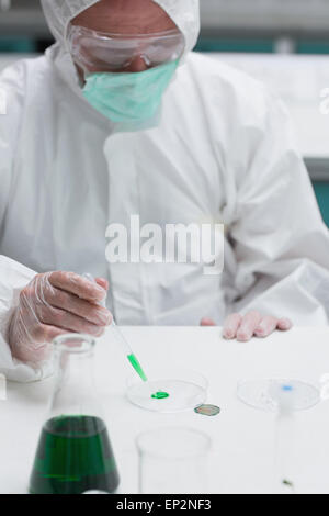 Farmacia in tuta protettiva aggiunta di liquido verde alla capsula di petri Foto Stock