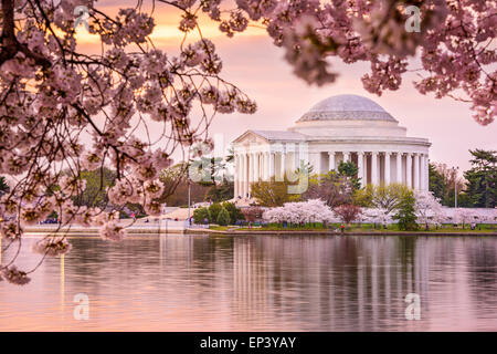 Washington, DC con il bacino di marea e Jefferson Memorial durante la primavera. Foto Stock