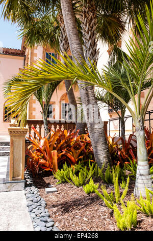 Il Natale di palme e Sable palms di Ca d'Zan Mansion House nel Museo Ringling motivi in Sarasota FL Foto Stock