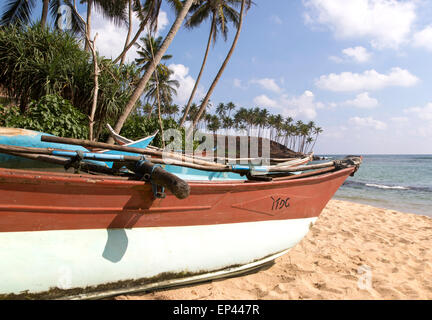 Dai colori vivaci canoe pesca sotto palme di cocco di spiaggia sabbiosa tropicale, Mirissa, Sri Lanka, Asia Foto Stock