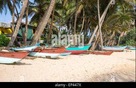 Dai colori vivaci canoe pesca sotto palme di cocco di spiaggia sabbiosa tropicale, Mirissa, Sri Lanka, Asia Foto Stock