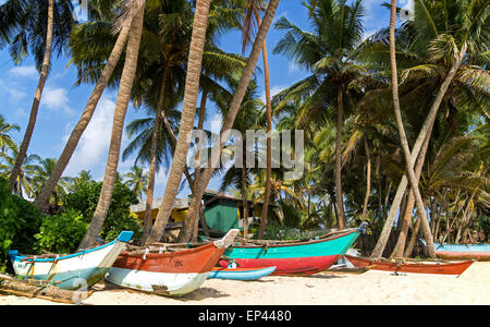 Dai colori vivaci canoe pesca sotto palme di cocco di spiaggia sabbiosa tropicale, Mirissa, Sri Lanka, Asia Foto Stock