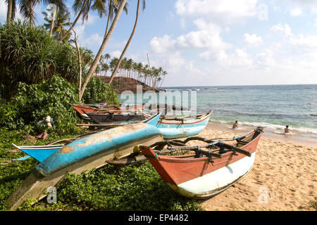 Dai colori vivaci canoe pesca sotto palme di cocco di spiaggia sabbiosa tropicale, Mirissa, Sri Lanka, Asia Foto Stock