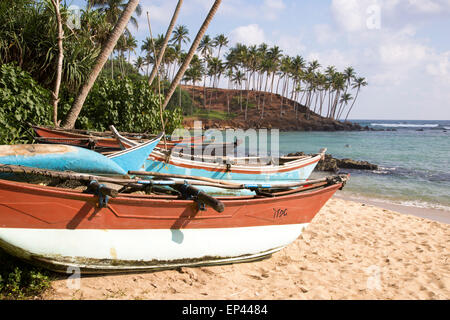 Dai colori vivaci canoe pesca sotto palme di cocco di spiaggia sabbiosa tropicale, Mirissa, Sri Lanka, Asia Foto Stock