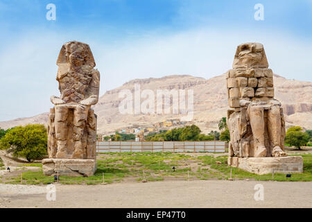 Colosso di Memnon. Luxor, Egitto Foto Stock