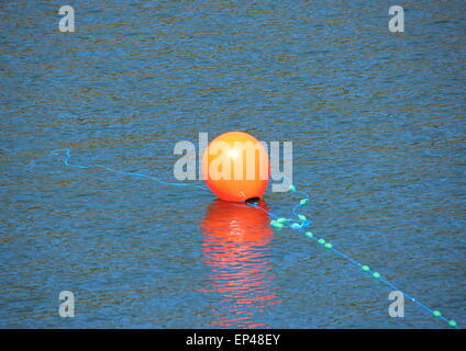 Boa rosso con corda blu in acqua la marcatura di un dispositivo di ancoraggio Foto Stock