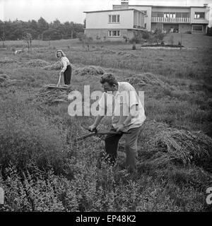 Peter Frankenfeld mit circuizione Frau Lonny Kellner bei der Gartenarbeit auf dem Grundstück des Hauses Erlenweg 16 in Wedel bei Hamb Foto Stock