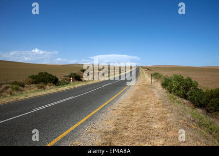 Strada aperta con nessun traffico passando attraverso la Western Cape area del Sud Africa Foto Stock