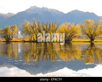 Pioppi neri americani colorati alberi lungo il Kicking Horse serbatoio vicino all'Autostrada 93 in Montana Occidentale sostenuto dalla Missione Mount Foto Stock