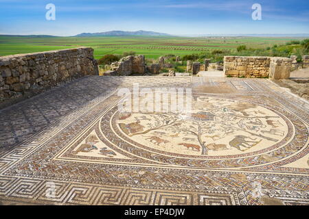 Volubilis, antica città romana in Zerhoun montagne, vicino a Fes. Vista verso il pavimento a mosaico in casa Orpfeus. Il Marocco Foto Stock