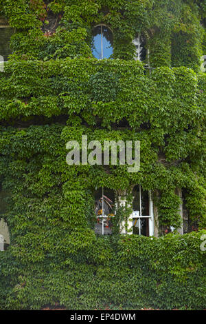 Storico Club Del nord edificio coperto in Virginia il superriduttore, Auckland, Isola del nord, Nuova Zelanda Foto Stock