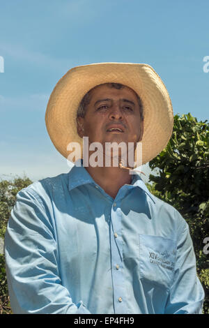 Rider, XIV Cavalgada do Cavalo Pantaneiro, Fiume Pixaim, Pantanal, Brasile Foto Stock