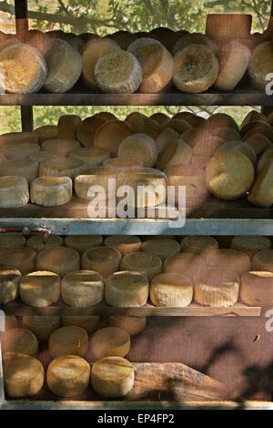 Formaggio di invecchiamento, il (molto) vecchia, in modo tradizionale, Agios Efstratios ('Ai Stratis') isola, Egeo Settentrionale, Grecia. Foto Stock