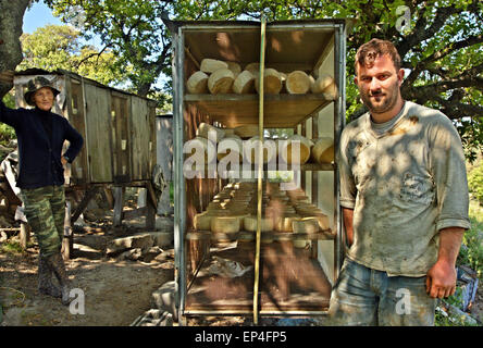 Formaggio di invecchiamento, il (molto) vecchia, in modo tradizionale, Agios Efstratios ('Ai Stratis') isola, Egeo Settentrionale, Grecia. Foto Stock