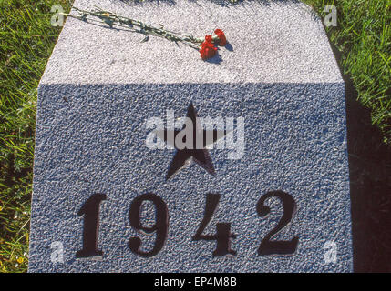 Giugno 25, 1989 - Leningrado (St. Petersburg, Russia - In Piskaryovskoye Memorial Cemetery di Leningrado (presente giorno San Pietroburgo) contrassegnati da anno la leggermente sollevata tumuli sono alcuni dei 186 tombe di massa dove mezzo milione di persone, tra cui 420.000 civili, e 50.000 soldati, sono sepolti dopo perire durante l epica di 900 giorni di assedio da parte dei nazisti durante la seconda guerra mondiale. (Credito Immagine: © Arnold Drapkin/ZUMA filo) Foto Stock