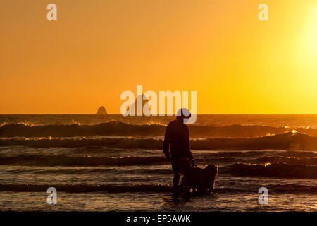 Dog e dog walker in acqua a Perran Sands Beach a Perranporth, una popolare località / surf resort nel Nord della Cornovaglia, Engl Foto Stock