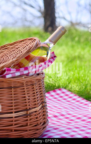 Cesto per pic-nic con bottiglia di vino nel bosco Foto Stock