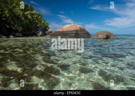Oceano Indiano, Seychelles, Mahe, St. Anne Marine National Park, Moyenne isola. Foto Stock