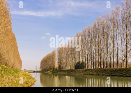 Fiume con due filari di alberi sulla riva Foto Stock