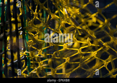 Close-up del netting in una trappola di aragosta, Islesford, Maine. Foto Stock