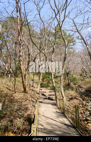 Vista del sentiero Yeongsil Hallasan del parco nazionale. Halla Mountain si trova a Jeju Island, Corea. Foto Stock