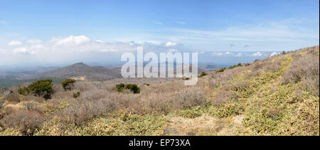 Panorama del paesaggio con Oream a Yeongsil Trail Course a Baerokdam in Hallasan Mountain National Park di Jeju Island, Corea. Foto Stock