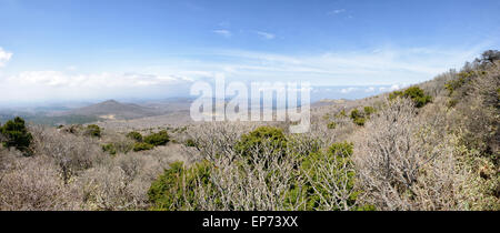 Paesaggio con Oream a Yeongsil Trail Course a Baerokdam in Hallasan Mountain National Park di Jeju Island, Corea. Foto Stock