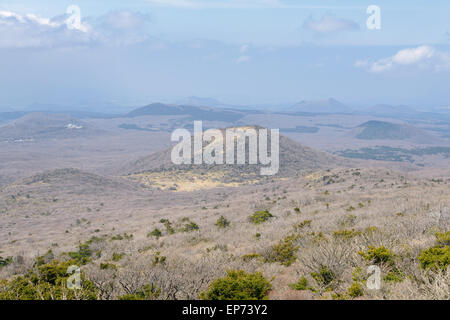 Paesaggio con Oream a Yeongsil Trail Course a Baerokdam in Hallasan Mountain National Park di Jeju Island, Corea. Foto Stock