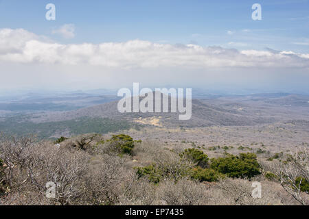 Paesaggio con Oream a Yeongsil Trail Course a Baerokdam in Hallasan Mountain National Park di Jeju Island, Corea. Foto Stock