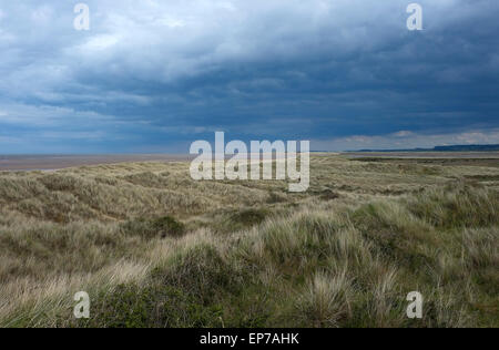 Holme-next-il-mare del Nord di Norfolk, Inghilterra Foto Stock