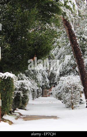 In inverno la neve sul marciapiede in un parco pubblico Foto Stock