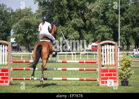 Un cavaliere a cavallo in competizione in show jumping tournament Foto Stock