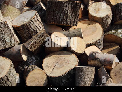 Gran mucchio di grandi tritato Trunk di taglio di legna da ardere Foto Stock