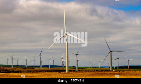 Le turbine eoliche in Scozia Foto Stock