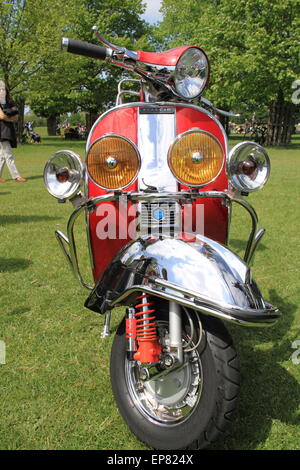 Piaggio moto-scooter, Castagno Domenica, Bushy Park, Hampton Court, Inghilterra, Gran Bretagna, Italia, Regno Unito, Europa. Foto Stock