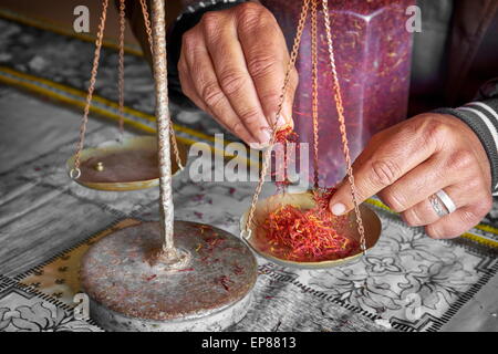 Lo zafferano essiccato in un negozio di erborista durante la pesatura. Atlante regione. Il Marocco Foto Stock