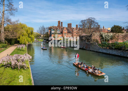 Punting sul fiume Cam in Cambridge Inghilterra tiene nella famosa dorsi, qui il retro del Trinity College può essere visto. Foto Stock