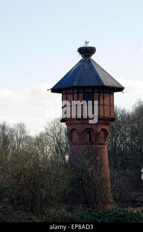 Stork's Nest sul water tower Foto Stock