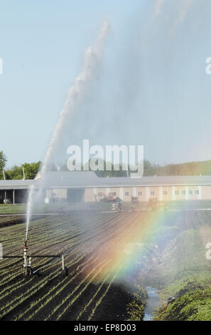 Chester, N.Y, STATI UNITI D'AMERICA. 14 Maggio, 2015. Un arcobaleno forme dall'irrigazione la spruzzatura di acqua su un nero sporco fieldin Chester, New York. La molla è stata molto secco finora in Orange County. © Tom Bushey/ZUMA filo/Alamy Live News Foto Stock