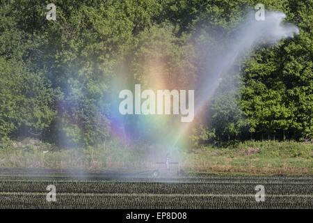 Chester, N.Y, STATI UNITI D'AMERICA. 14 Maggio, 2015. Un arcobaleno forme dall'irrigazione la spruzzatura di acqua su un nero sporco fieldin Chester, New York. La molla è stata molto secco finora in Orange County. © Tom Bushey/ZUMA filo/Alamy Live News Foto Stock